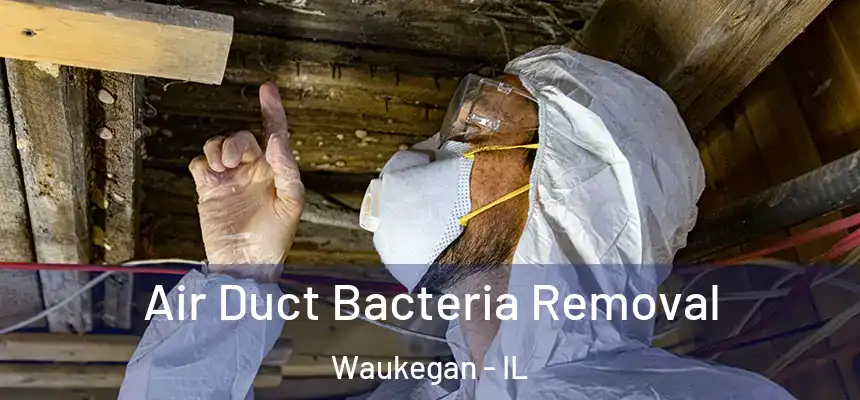  Air Duct Bacteria Removal Waukegan - IL