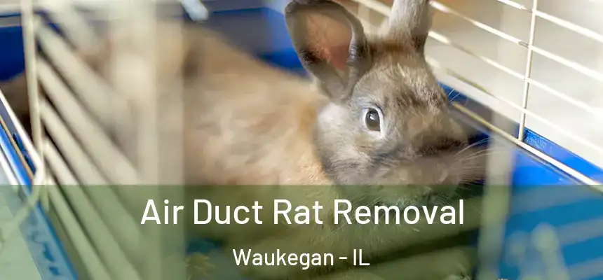 Air Duct Rat Removal Waukegan - IL