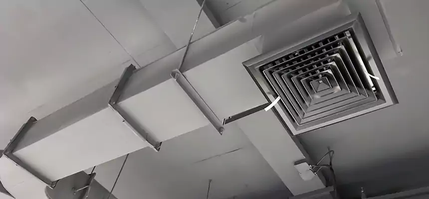 Restorative Allergy Relief Vent Cleaning – Coil, Blower & Housing Detail in Waukegan