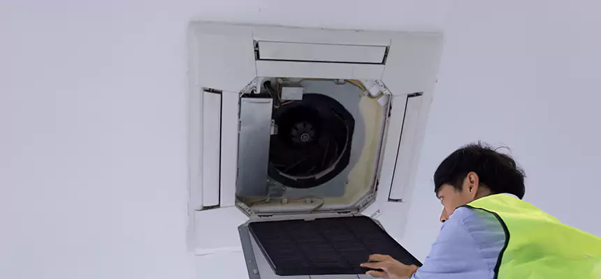 Our Dryer Vent Sanitization Service Services in Waukegan, IL
