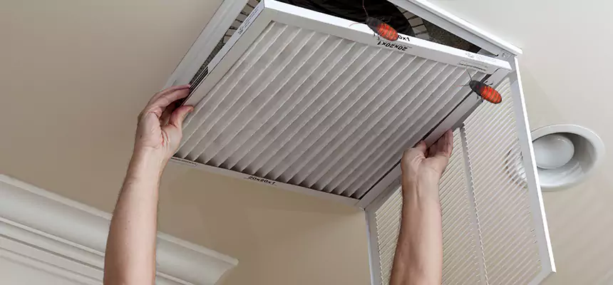 Our Insect Removal from Air Ducts Services in Waukegan, IL