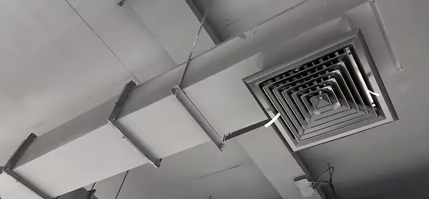 Our Rodent Droppings In Vents Services in Waukegan, IL