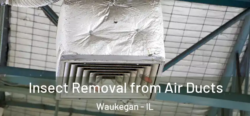 Insect Removal from Air Ducts Waukegan - IL