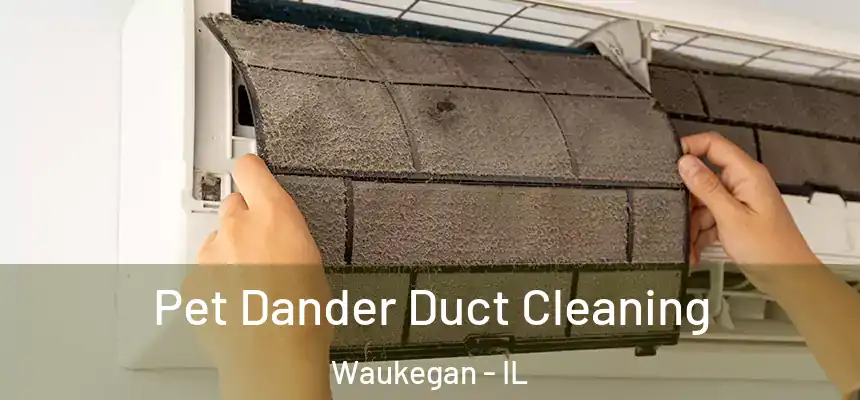 Pet Dander Duct Cleaning Waukegan - IL