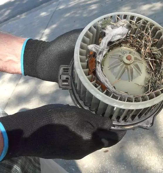 About Air Duct Mice Removal in Waukegan, IL