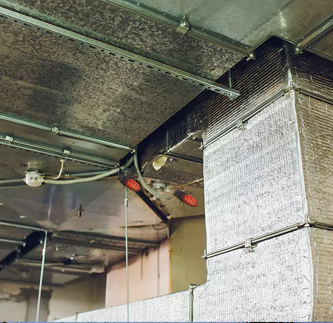 Why Homeowners & Businesses Trust Us in Waukegan, IL?