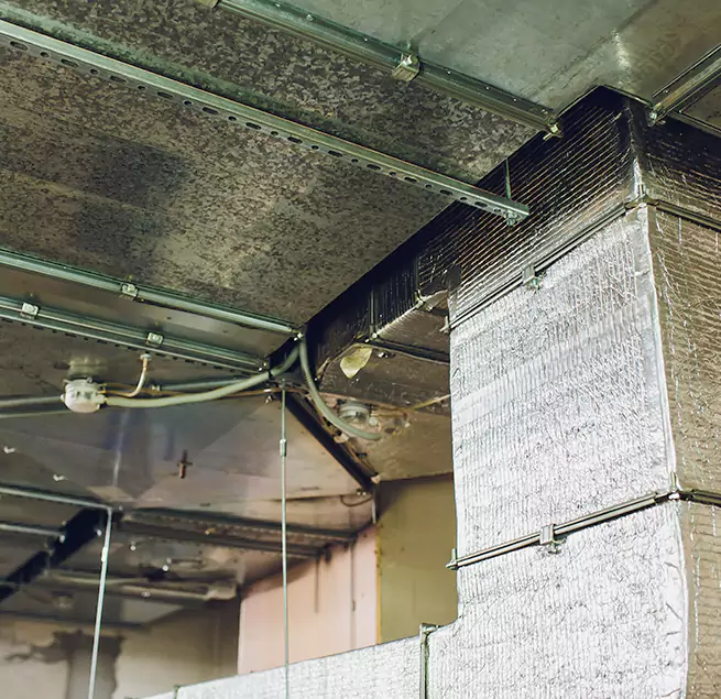 Why Homeowners & Businesses Trust Us in Waukegan, IL?